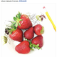 Illustration for article titled Whole30 Is The Latest Diet Fad, But It Wont Be The Last
